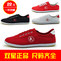 Pole shoes Double Star sports shoes Mens and womens childrens martial arts shoes Tai Chi shoes Canvas beef tendon bottom practice shoes