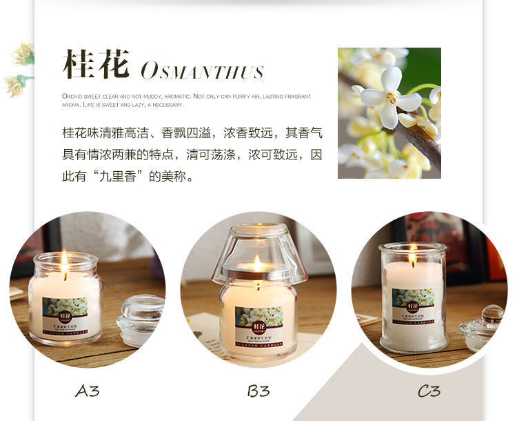 Bougie - Ref 2487922 Image 14