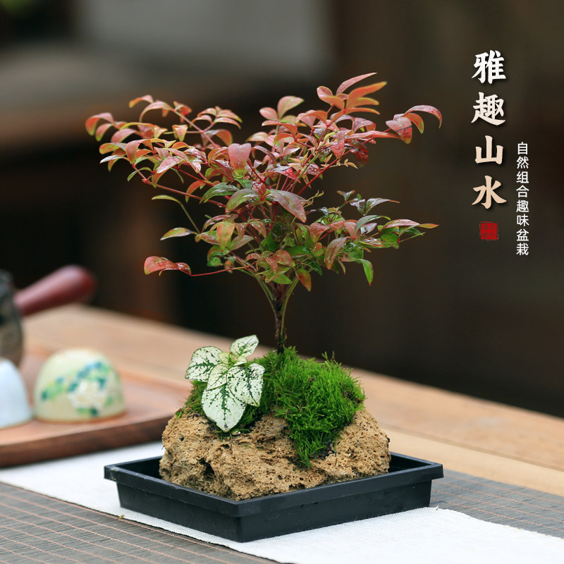 神居古潭石【台座付き】 【公式通販】