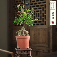 Рекомендация