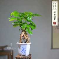 Titan Green Yuanbao рекомендуется поднять