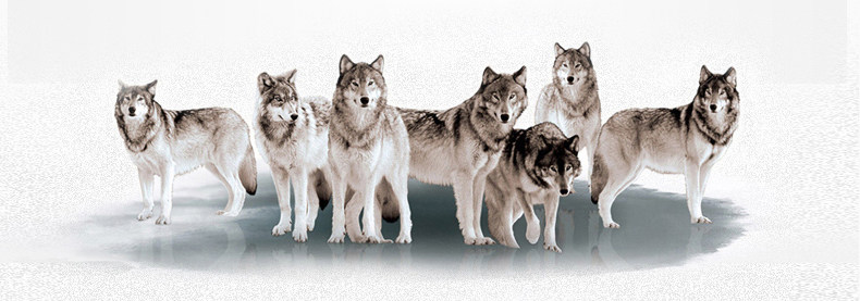 Sac pour homme - Ref 50355 Image 48