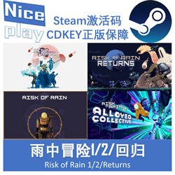 Risk of Rain 2/1/Return to Steam Official Cd Key Activation Code Dlc Risk of Rain Returns