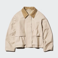 31 метра цвет