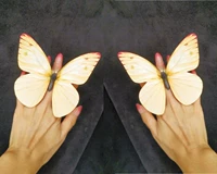 Желтый, 1 пары, диаметр 13.5мм, 13.5см