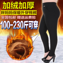 200 catty of extra-virgin aged women pants plus suede thickened cotton pants Fat mother Gats to increase high play winter warm pants