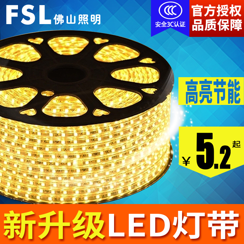 Foshan lighting LED light strip 5050 double row living room ceiling white patch light strip 2835 outdoor waterproof light strip