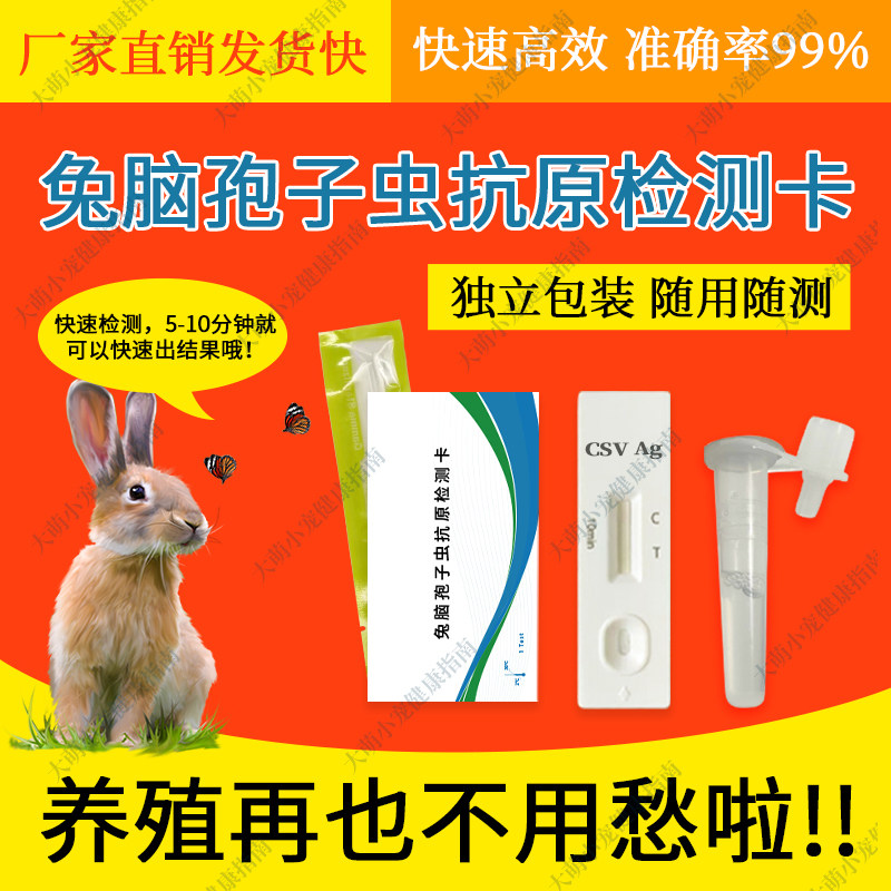 兔脑孢子虫检测卡 宠物健康筛查必备🌟💖-特色医疗用品-淘宝好物网