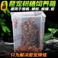 Капл коробка поднимается на питомную коробку -ящерицу паука Хамелеон Дракон Клице Дворец Дерево лягуша