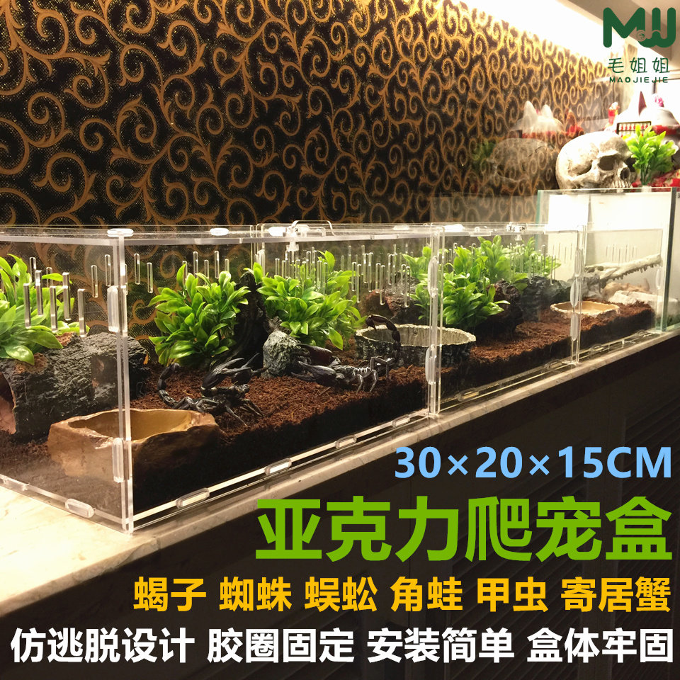 Reptile feeding box Acrylic crawler box crawler box spider lizard crawl pet beetle crawl pet box feeding box