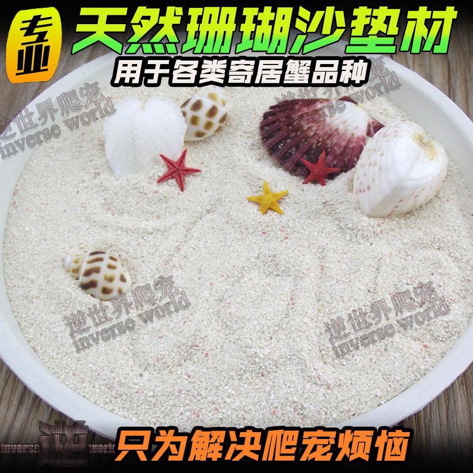 Host crab coral sand strawberry short wrist grey white pinning crab sand mat material Philippine Saddam Hussein's coral 1 catty