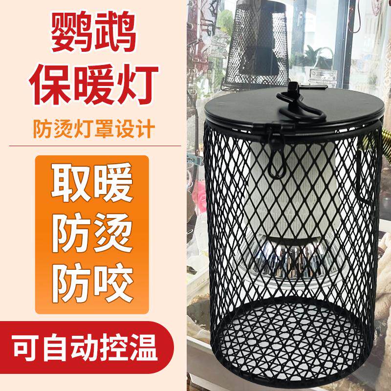 鹦鹉保温灯芦丁鸡防烫防咬鸟用保暖取暖器过冬神器仓鼠宠物加热灯