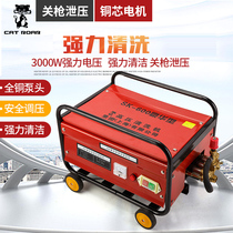 Large Commercial Washing Machine 55 Type 58 High Pressure Cleaner Luxury Car Wash Yard Special Car Wash Pump Full Copper Water Gun