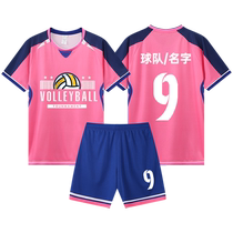 Pink Volleyball Clothes Custom Gas Volleyball Womens Section Training Suit 2024 New Professional Sports Competition Clothes Suit Men