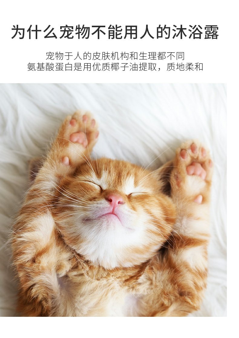Petstwo mèo tắm gel mèo tắm đặc biệt chất lỏng mèo tắm gel tiệt trùng dầu gội vật nuôi tắm - Cat / Dog Beauty & Cleaning Supplies Lược chải lông FURminator.