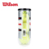 Quần vợt đóng hộp Wilson Weirson Đóng gói 3 gói Titanium 3 bóng * 2 bóng tennis dunlop Quần vợt