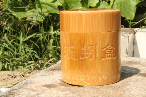 Ống tre, ống mồi sống, hộp côn trùng đỏ, hộp mồi, chống chạy, ngư cụ, câu cá, đồ câu cá cần câu tay carbon