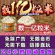 Counting One Hundred Million Rice Grains Ad-Free Version Apple Ios Android Harmonyos Popular Tiktok Web Mini Game