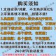 This Is My War (This War of Mine) Chinese Version for Steam Android Mobile and Tablet Games