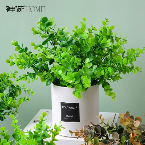 Моделирование йогали цветочное орнамент дома домашние украшения фальшивые цветочные моделирование цветочные гостиные столы, чтобы положить цветы зеленые посадки