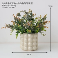 2 домашних горшечных растения в эвкалиптовых серо-оранжевых цветочных горшках с пузырьками