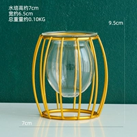 Круглый гидропонный цветок