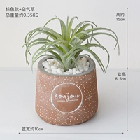 Коричневая модель+воздушная трава