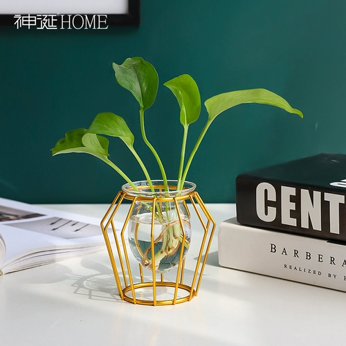 Креативный стеклянный прозрачный цветочный горшок для гостиной, простой и элегантный дизайн