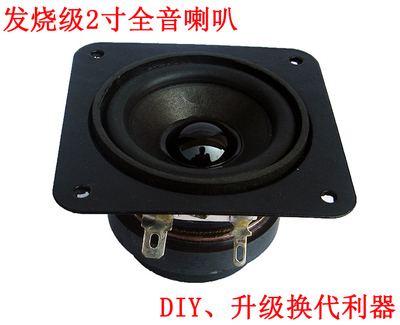 Hair Burning Grade Boutique 63mm Square Full Frequency Horn DIY Liver 2 Inch 6 O 6 W Bluetooth Speaker Horn Speaker