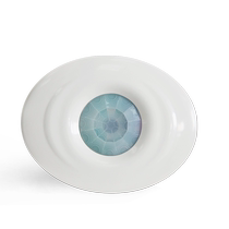 220V self-service car wash ceiling dual-control human body sensor switch high-power infrared sensor delay distance adjustable