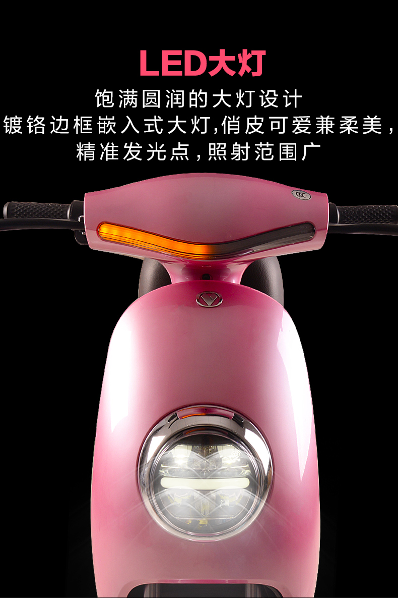 Bi Dewen xe điện ắc quy xe 48V pin lithium xe đạp điện nam và nữ lithium tram rùa vua - Xe đạp điện xe máy điện dibao