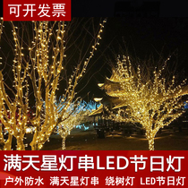 LED lights Flash light string light string 30 meters 50 meters Holiday tree lights Meteor shower lights Christmas lights Decorative lights starry sky
