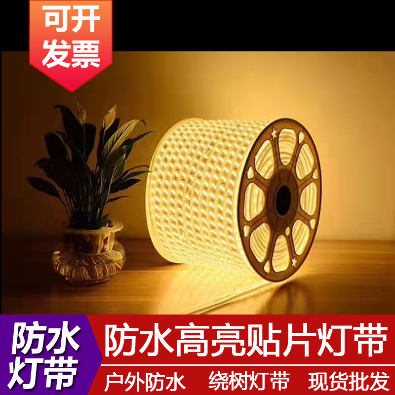 LED light with outdoor waterproof neon strips decorated with seven color discoloration patches ultra bright line lights 220v-Taobao