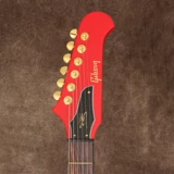 Фирменная рок-электрогитара Gibson Lzzy Hale Signature Explorerbird