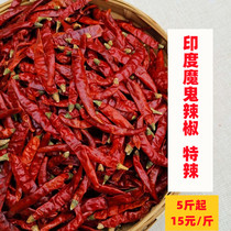 Indian devil chili spicy household dried pepper dried sea pepper perverted spicy hot spicy stewed dish can be beaten 250g new goods