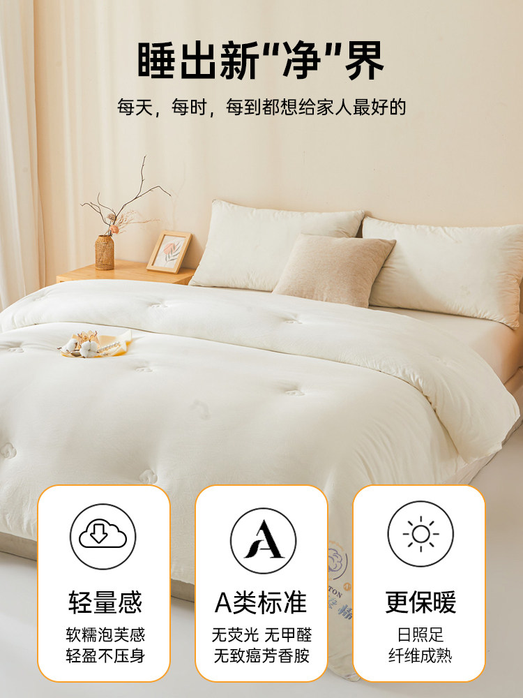 Muji Xinjiang Cotton Quilt Core Autumn and Winter Quilt Thickened Warm All-Cotton Pure Cotton Student Dormitory Spring and Autumn Quilt