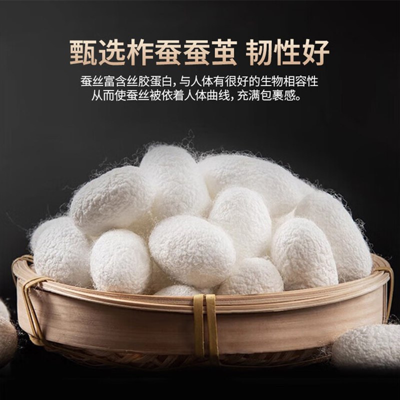 Muji Silk Quilt 100% Medium-Length Silk Quilt Core Single/Double Thickened Warm Winter Quilt All-Season Use