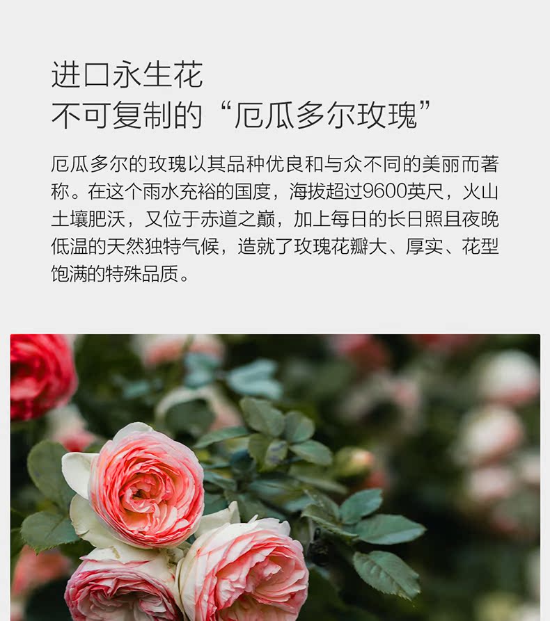 唯忆永生花礼盒同城玫瑰花生日礼品送女友花束礼品七夕情人节礼物 虎窝淘