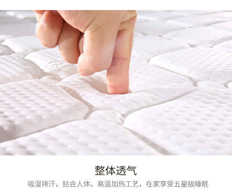 3e dừa Giấc mơ chiều mat 1,5m 1,8 m giường nệm giá rẻ đôi nệm dừa tự nhiên cọ cọ mat cứng - Nệm nệm ngủ trải sàn