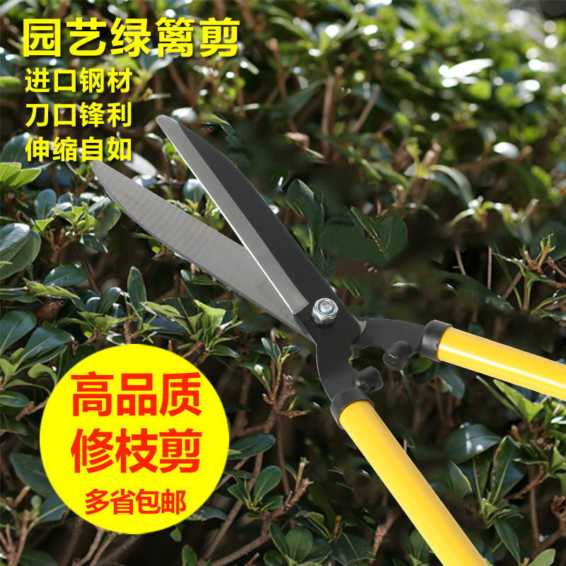 伸缩园林剪园艺剪刀绿篱剪修树枝果树剪树枝剪大花剪修枝大剪刀