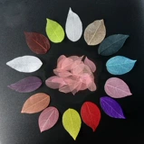 Золотая листья вена Листь