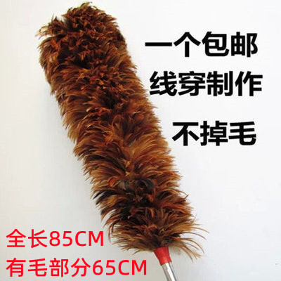 Real Feather Duster for Dusting, Household Use, Non-Extendable, Non-Shedding, for Car Cleaning, Anti-Static Dust Removal Real Feather Duster for Dusting, Household Use, Non-Extendable, Non-Shedding, for Car Cleaning, Anti-Static Dust Removal
