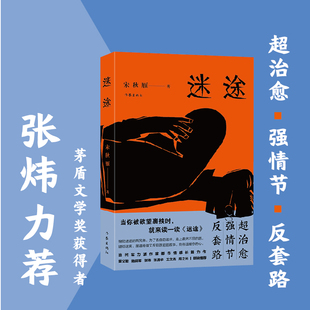 奇异迷痛 众芳皆飘零 向往被卷入险恶 罕见凄美 爱情 湍流 纯情少年 人生 流水却无情 迷途 执拗诉说 男儿虽有意 对真爱