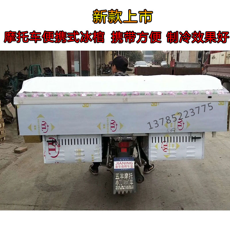 Ice Coffin Crystal Coffin Refrigerated Coffin Ice Coffin Crystal Sarcophagus Refrigeration Equipment Ice Bed Stainless Steel Locomotive Transport