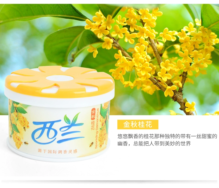 Nước hoa rắn Zealand 70g làm mát không khí khử mùi khử mùi xe ô tô 6 hộp - Trang chủ