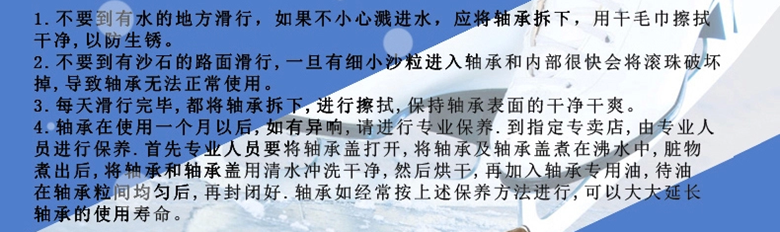 Patins à roulettes - Ref 2582636 Image 43