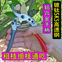 Deao sharp Z8 pruning shears garden gardening fruit tree pruning thickened blade flower art scissors flower branch shears