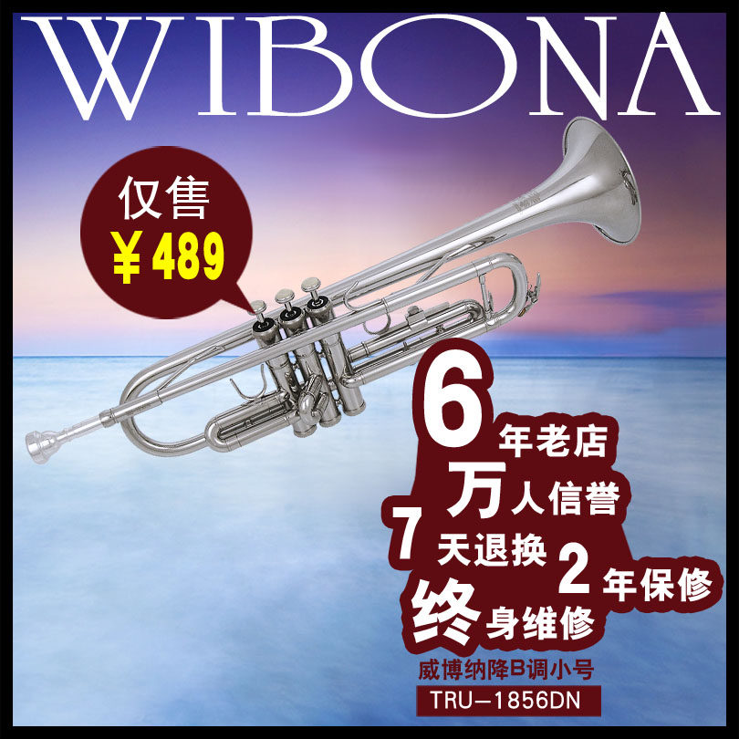 6 years old shop reputation (Webbona WIBONA instrument) lowered B - plated nickel silver