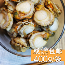 Scalbetin Meat Column Ready-to-eat Barbecue MegQingdao Wild Now Exfoliating to Visceral Dalian Live Frozen Fresh Seafood