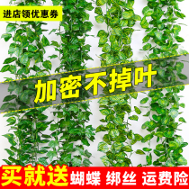 Simulation of grape leaf fake flower rattan water pipe decorative green plant ceiling tree leaves plastic Vine Green Leaf winding